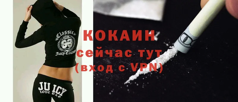 Cocaine Эквадор  наркотики  Пушкино 